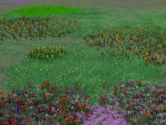 春の花が満開の草原