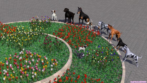 チューリップの花壇と犬たち