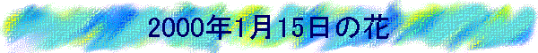 2000�N1��15���̉�