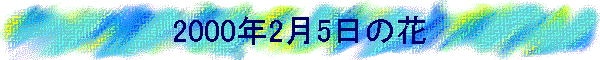 2000�N2��5���̉�