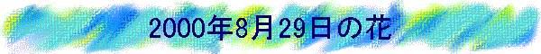 2000�N8��29���̉�