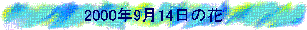 2000�N9��14���̉�