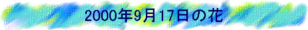 2000�N9��17���̉�