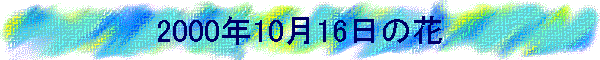 2000�N10��16���̉�