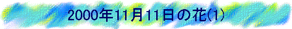 2000�N11��11���̉�(1)