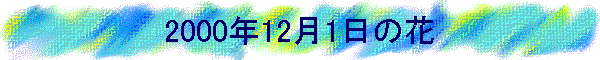 2000�N12��1���̉�