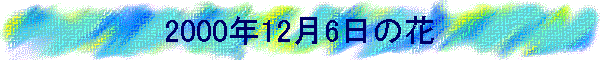 2000�N12��6���̉�