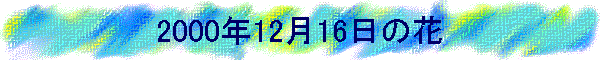 2000�N12��16���̉�