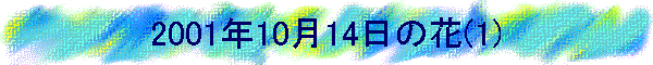 2001�N10��14���̉�(1)