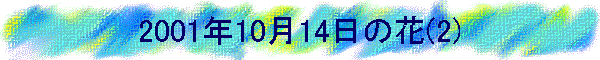 2001�N10��14���̉�(2)