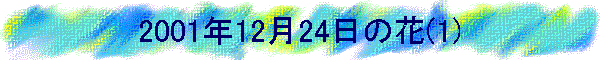 2001�N12��24���̉�(1)