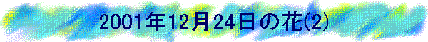 2001�N12��24���̉�(2)