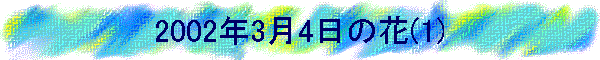 2002�N3��4���̉�(1)