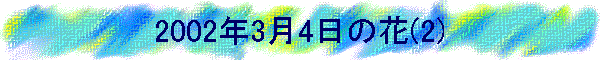 2002�N3��4���̉�(2)