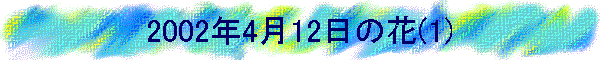 2002�N4��12���̉�(1)