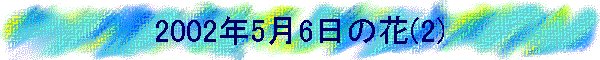 2002�N5��6���̉�(2)